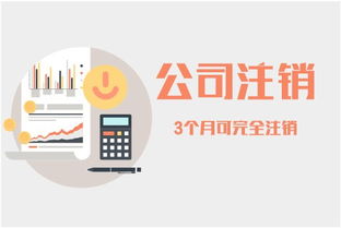 为何小规模代理记账月费仅100元，武汉中小企业的明智之选
